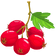 <strong>Scientifically Proven </strong>Heart Formula
