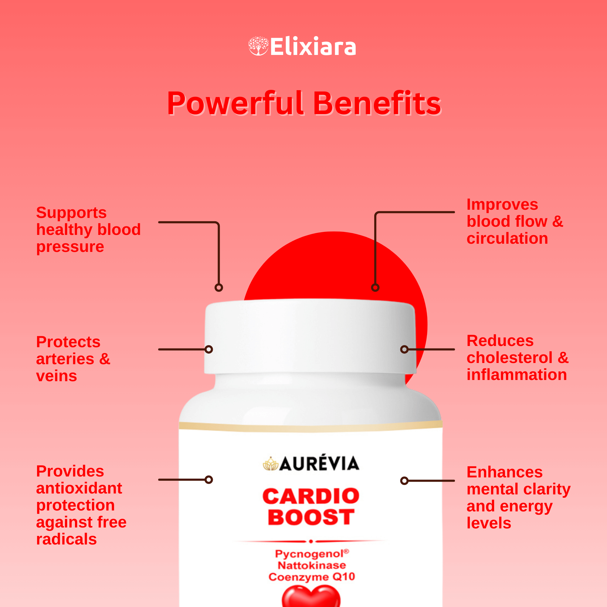 Benefits of Cardio Boost – promotes strong heart, lowers cholesterol, supports blood flow, and boosts daily energy
