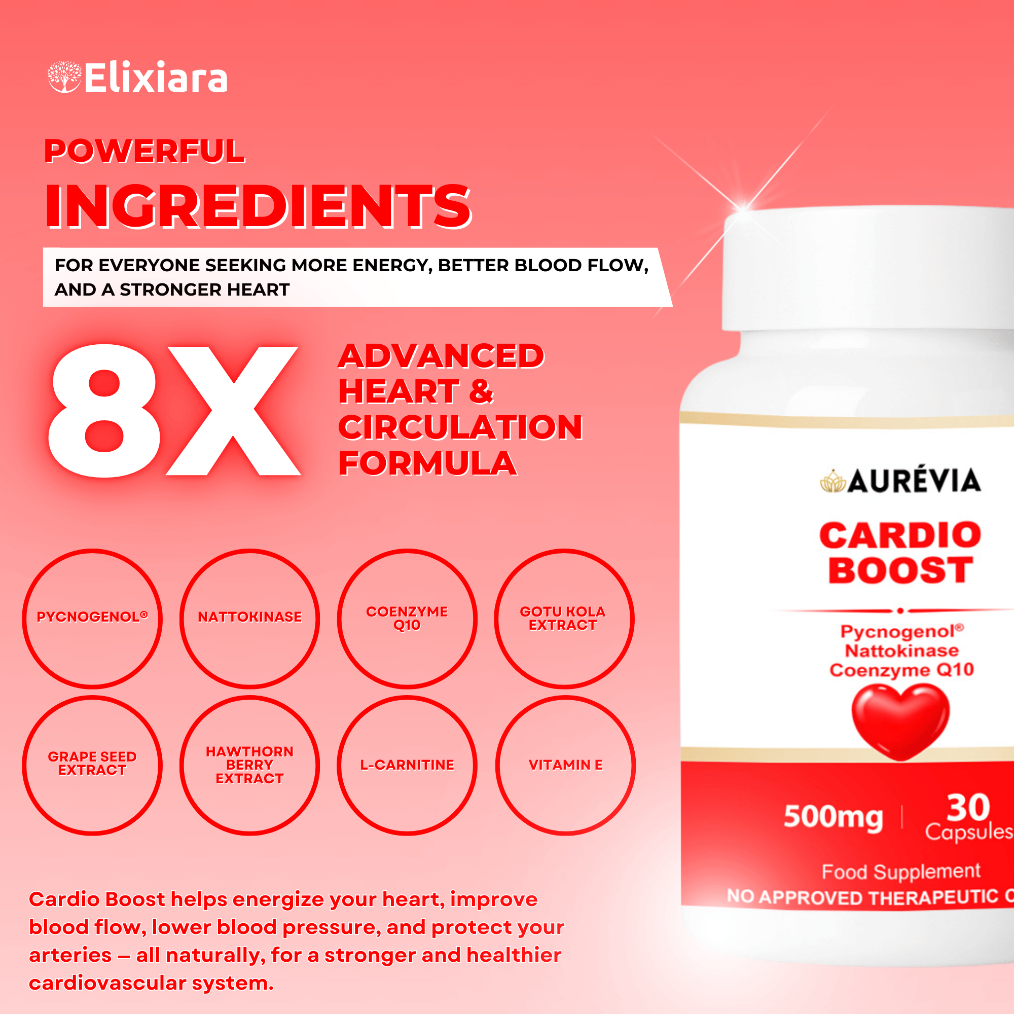 Cardio Boost ingredients – L-lysine, L-proline, Vitamin C, and antioxidants for cardiovascular wellness